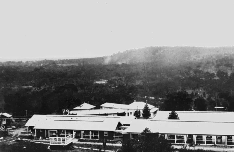 Sanatorium Doctors Prescribed Silence Like Medicine a Century Ago — Brain Science Just Explained Why It Worked