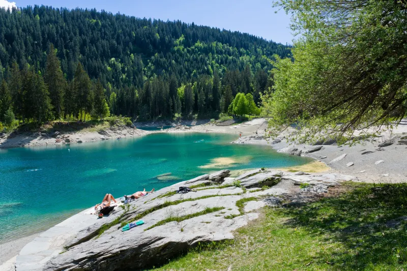 The Alpine Sleep Doctors Who Decoded Your Circadian Rhythm 100 Years Before Silicon Valley