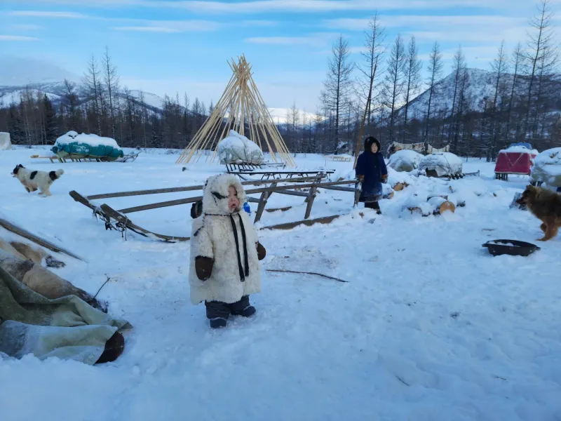 The Arctic People Who Beat Winter Blues 500 Years Before Light Therapy Existed