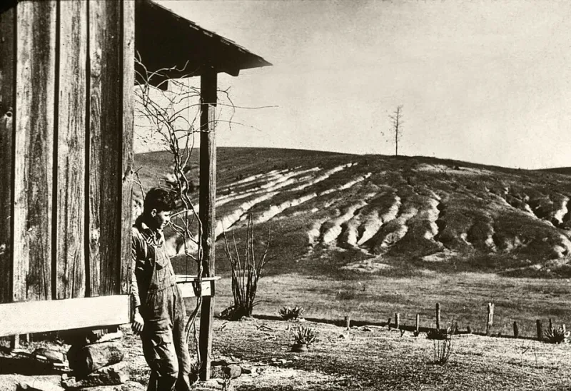 Starving Through the Dust Bowl, These Families Accidentally Ate the Most Anti-Inflammatory Diet Ever Recorded