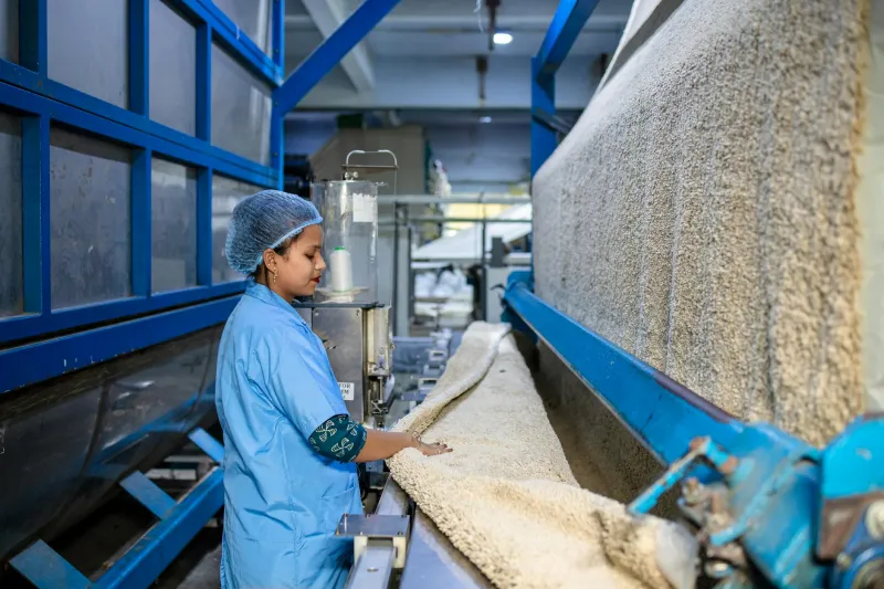 Factory Workers Accidentally Invented the Probiotic Revolution — Using Leftover Grain and Pure Desperation