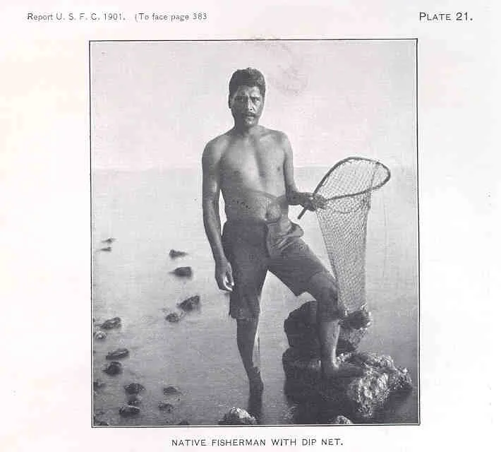 Traditional Hawaiian Fishermen Could See Underwater Without Goggles. Science Finally Figured Out How.
