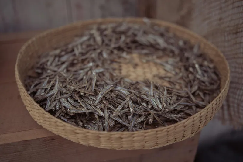 The Arctic Fish Guts That Beat Modern Antidepressants — Iceland's Accidental Mental Health Revolution