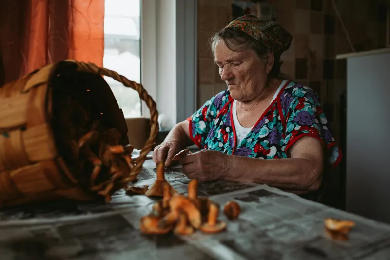 The Mountain Healers Who Talked People Through Trauma 200 Years Before Modern Therapy